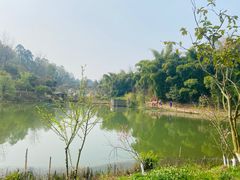 -黄龙溪欢乐田园