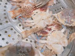 梭子蟹-董大蒸货(方塔园店)