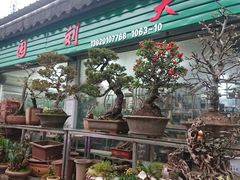 -曲阳花鸟市场(曲阳路店)