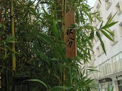 -天水蔬食料理(树德之光店)