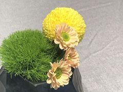 -南堂馆·新川菜(春熙路店)