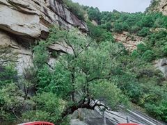 -黑龙潭风景区