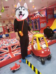 -都乐汇儿童乐园(莱蒙都会店)