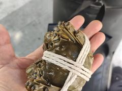 -阳澄湖大闸蟹·琼灵阁牌品牌连锁(吴中总店)