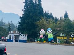 -中国大熊猫保护研究中心雅安碧峰峡基地