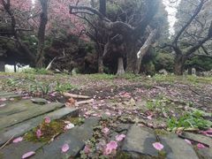 -白塘生态植物园