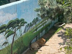 -西霞口神雕山野生动物世界