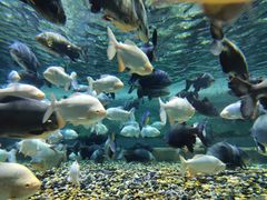 -成都浩海立方海洋公园