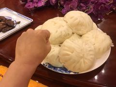 -鸿恩陶然大观园