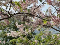 -白石龙音乐公园