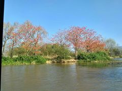 景点-西昌邛海湿地