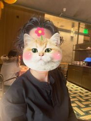 -Hair Co.一间沙龙