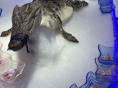 -澜悦港海鲜体验主题餐厅