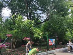 -哈尔滨文化公园