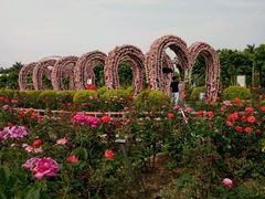 -广州花之恋城堡酒店
