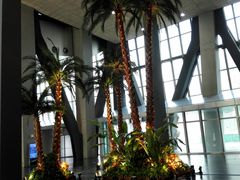 -中央广播电视总台(光华路办公区)