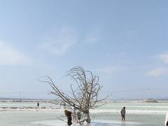 -盐湖景区
