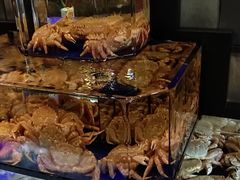 -蟹道乐(道顿堀本店)
