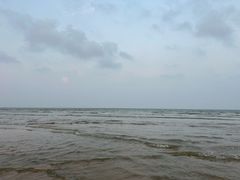 -日照海滨国家森林公园