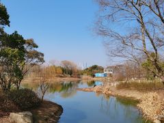 -贡湖湾湿地公园