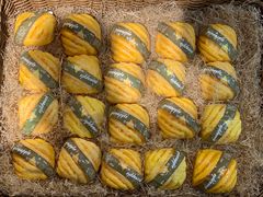 -百武西(北京apm店)