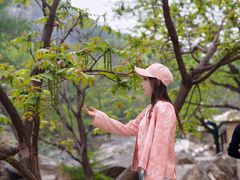 -黑龙潭风景区
