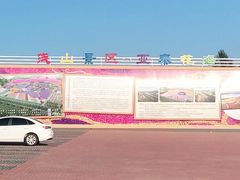-莲花山花海