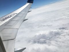 -全日本空输株式会社(上海办事处)