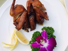 红烧乳鸽-大东海海鲜酒楼(渔人码头总店)