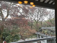 -山外山菜馆(玉泉路店)