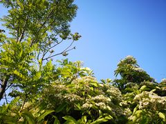 -幕燕滨江·长江观音景区