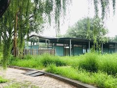-尚庄度假村·庭台树下·户外烧烤·团建CS·轰趴营地(上庄水库店)