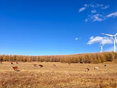 -塞罕坝国家级自然保护区