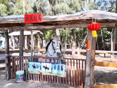 -玫瑰海岸文化旅游度假区