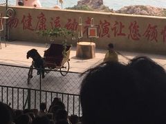 -东方熊牧场