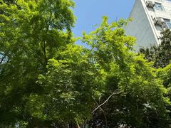-江苏师范大学(泉山校区)