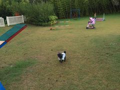 -上海崇明金茂凯悦酒店