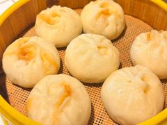 -费明中罗非鱼(大石坝店)