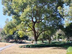 -浙江大学(玉泉校区)