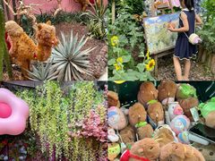 -正佳雨林生态植物园