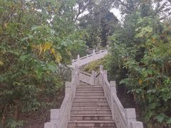 -上海市保健医疗中心