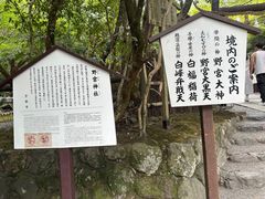 -野宫神社