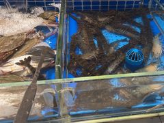 -加餐海鲜自助餐厅(福清万达店)