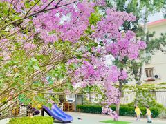 -红黄蓝幼儿园(颐东苑店)