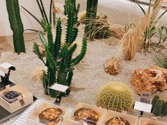 -OUR Bakery(SKP-S店)