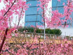 -艾溪湖湿地公园
