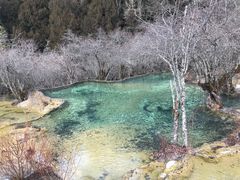 -黄龙山原始森林景区
