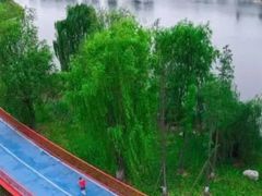 -白鹭湾湿地公园