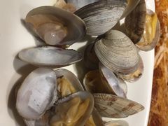 花蛤-船奇蒸汽海鲜·闽菜(八市海鲜总店)