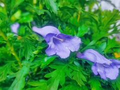 -首开·龙湖成都西宸天街